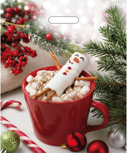 пакеты выр. 38х47 Сладкий снеговик НГ 2А