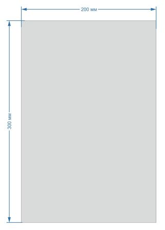 пакеты п/п 200х300/25 уп100