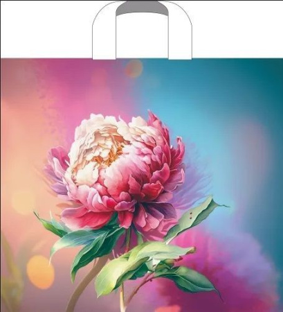 пакет петл.38х34 Сандра *