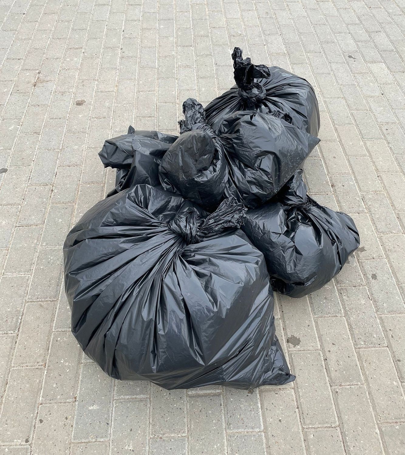 #экопросвет2а | Главное правило осознанного туриста - убери за собой и прихвати пакет чужого мусора