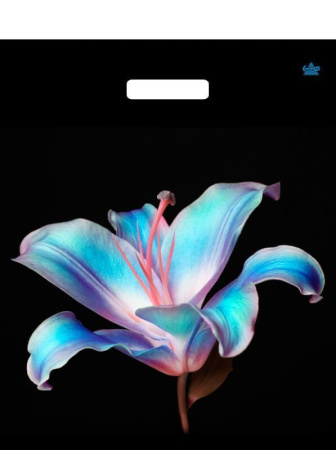 пакеты выр.38х45 Лила